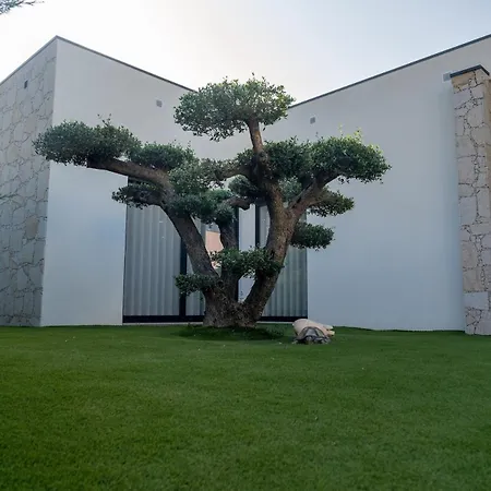 Βίλα Vietnam House Barcelos